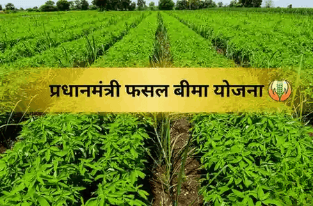 PM Fasal Bima Yojana