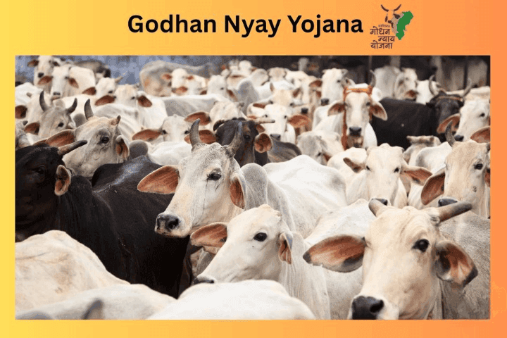 Godhan Nyay Yojana