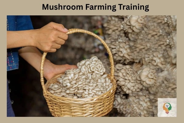 Mushroom Farming Training