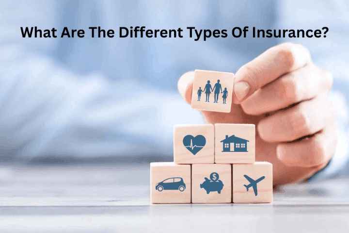 Types Of Insurance