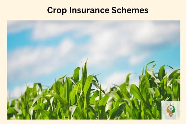 Crop Insurance Scheme