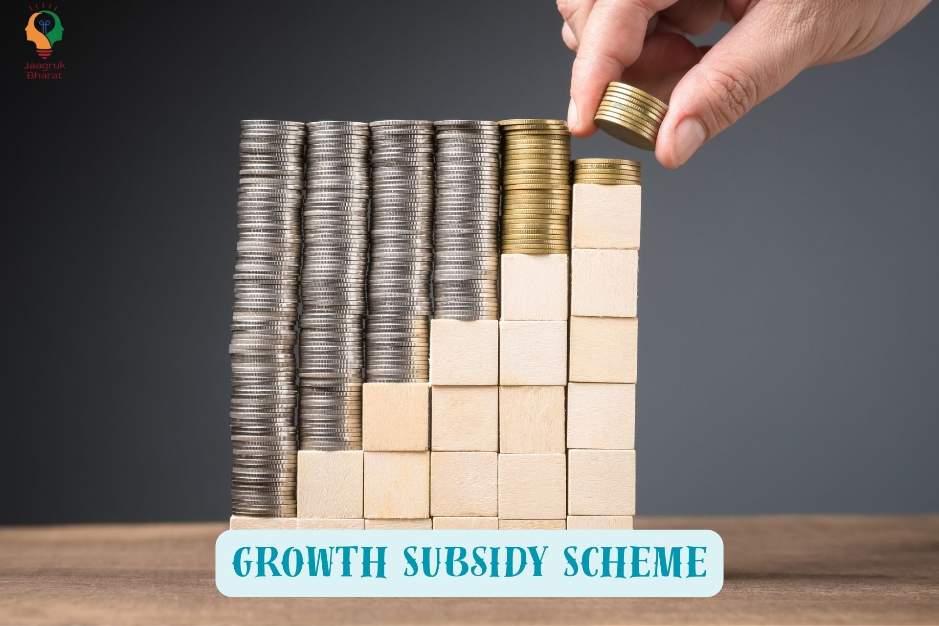 Subsidy Scheme
