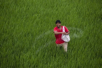 प्रधानमंत्री फसल बीमा योजना: किसानों के लिए सुरक्षा और फसल बीमा