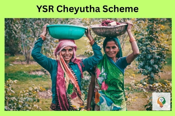 YSR Cheyutha Scheme