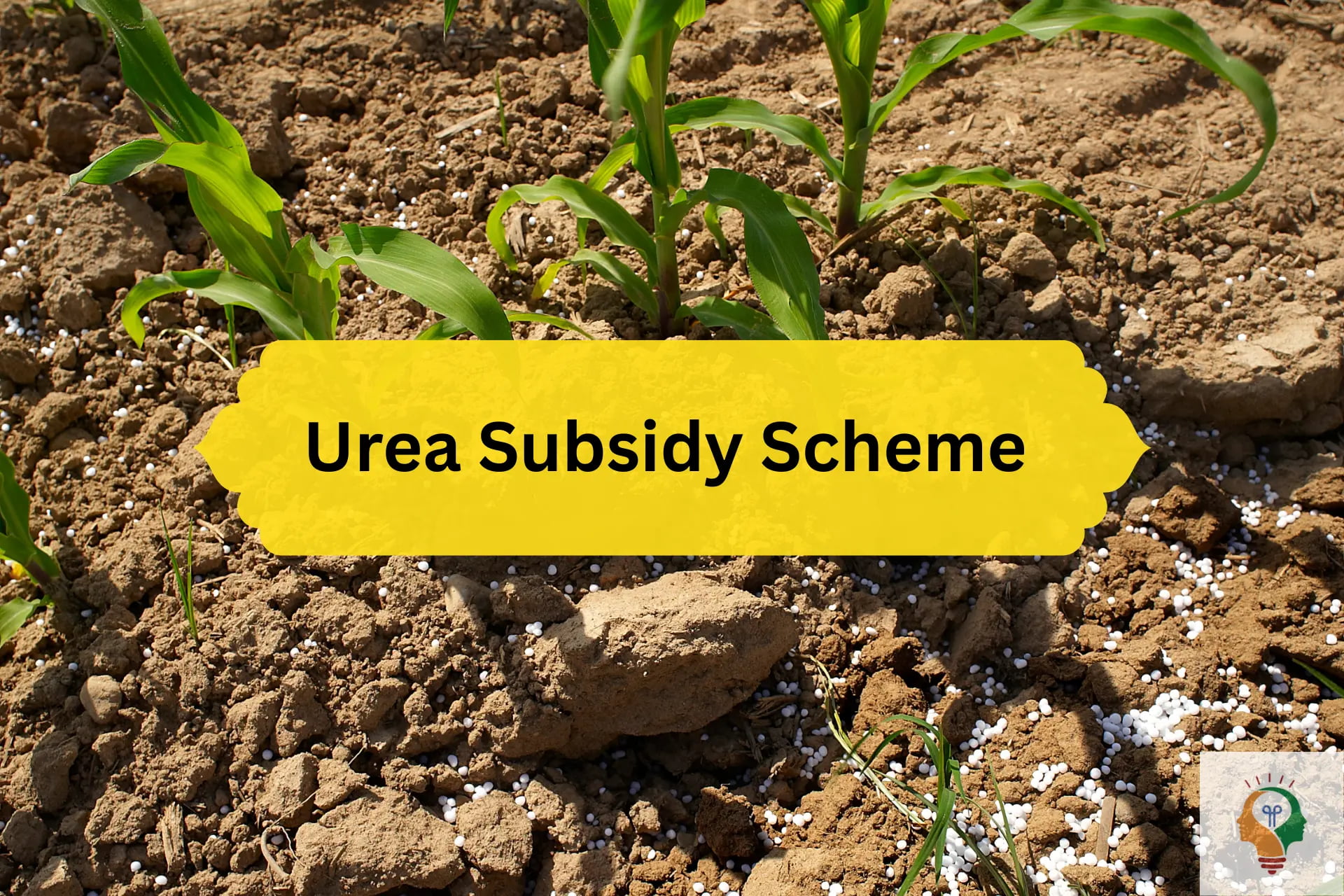Urea Subsidy Scheme