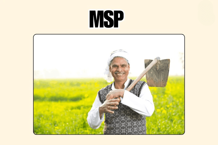 MSP