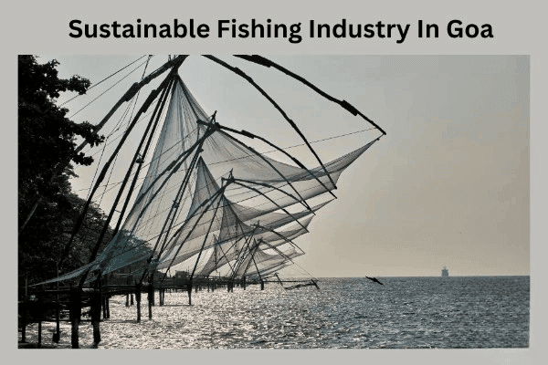Buiding Sustainable Fishing Industry