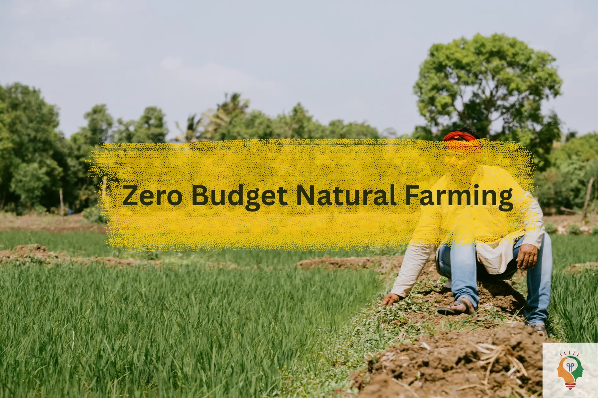 Zero Budget Natural Farming Scheme