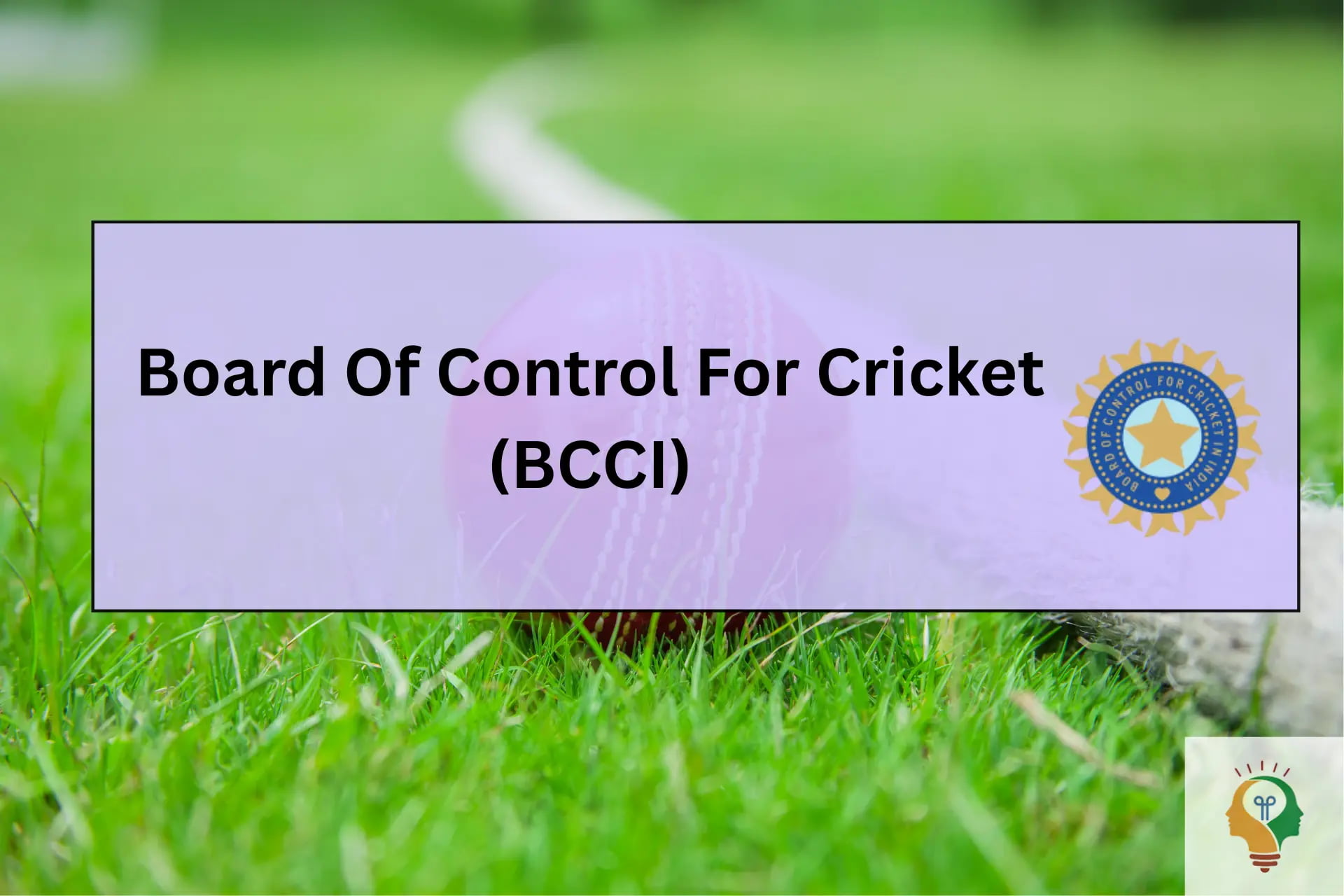 BCCI Board