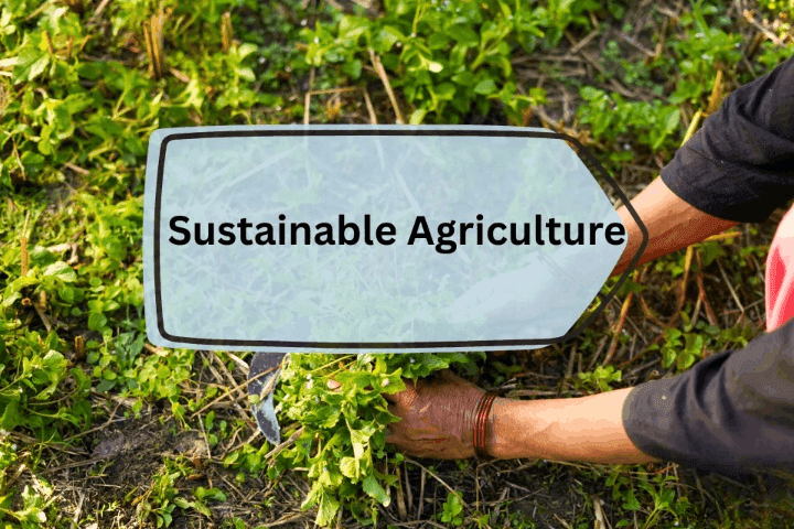 Sustainable Farming