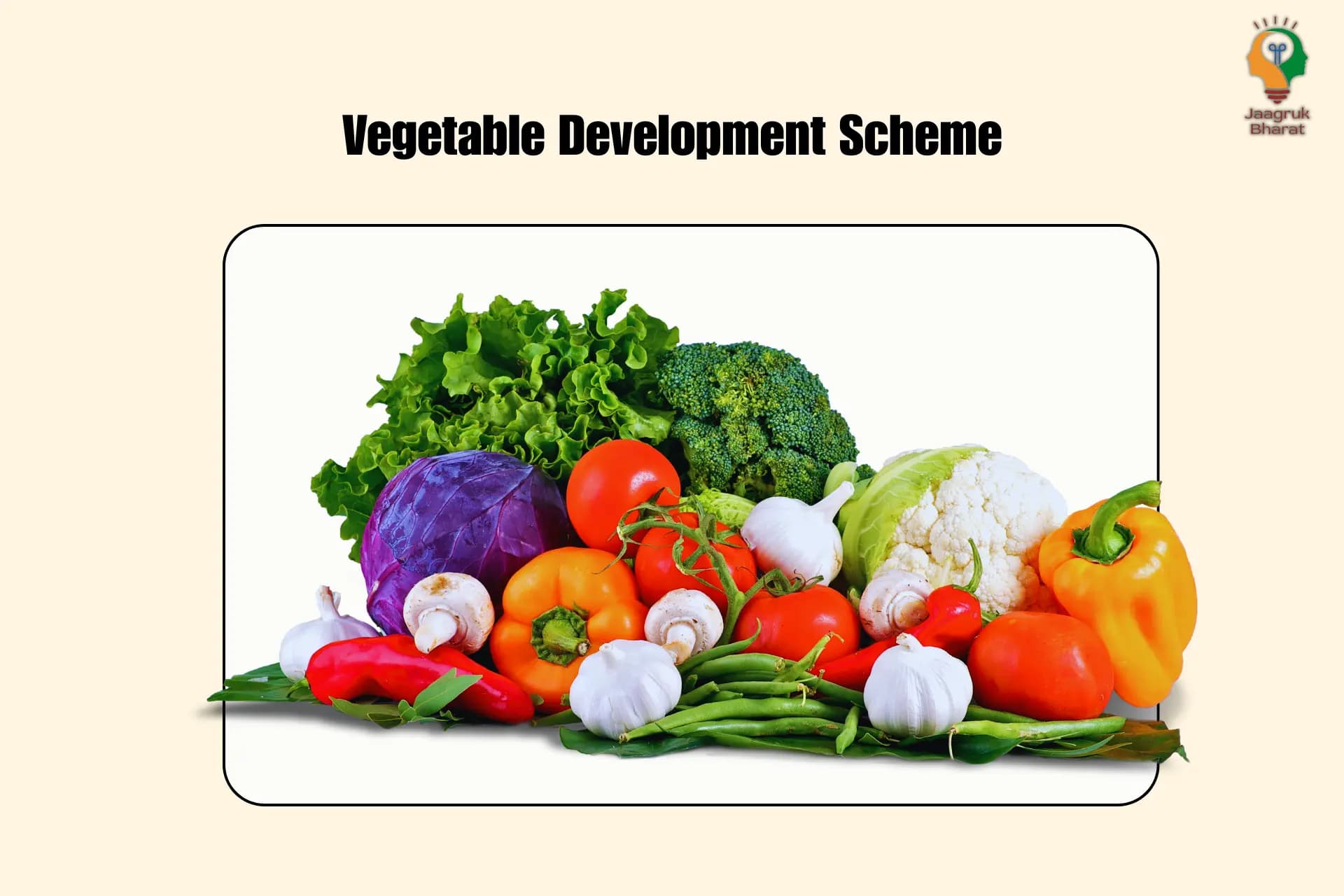 Vegetable Development Scheme