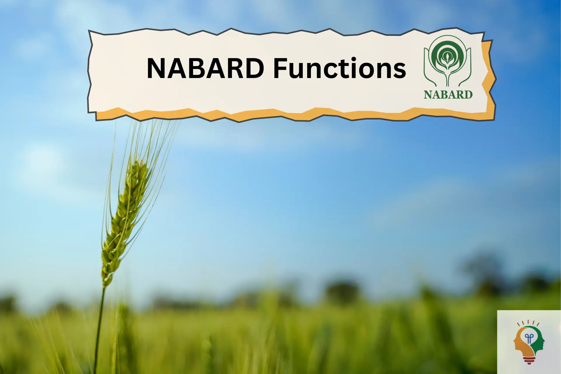 NABARD Role