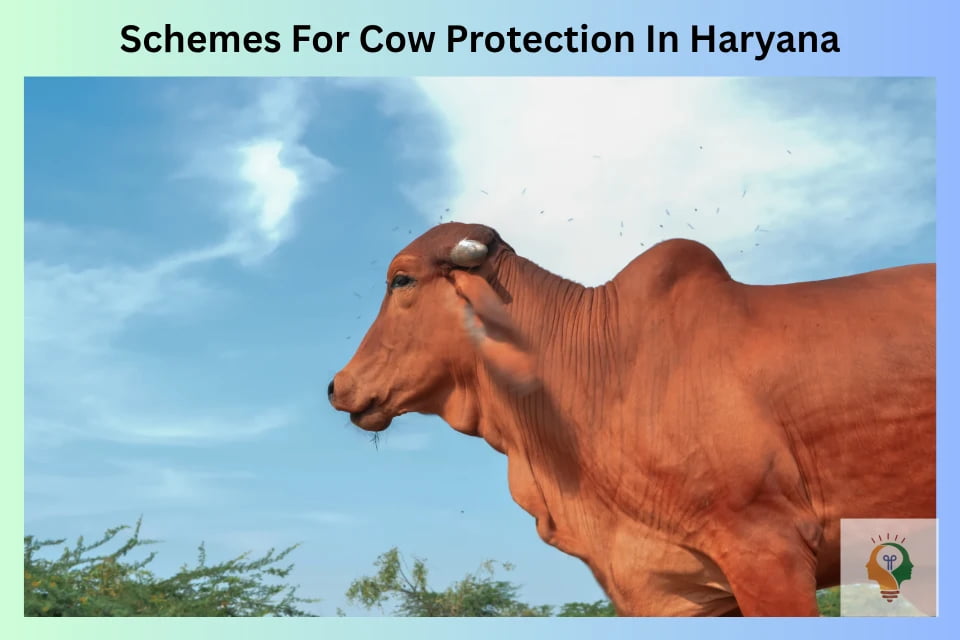 Government Schemes For Animal Welfare