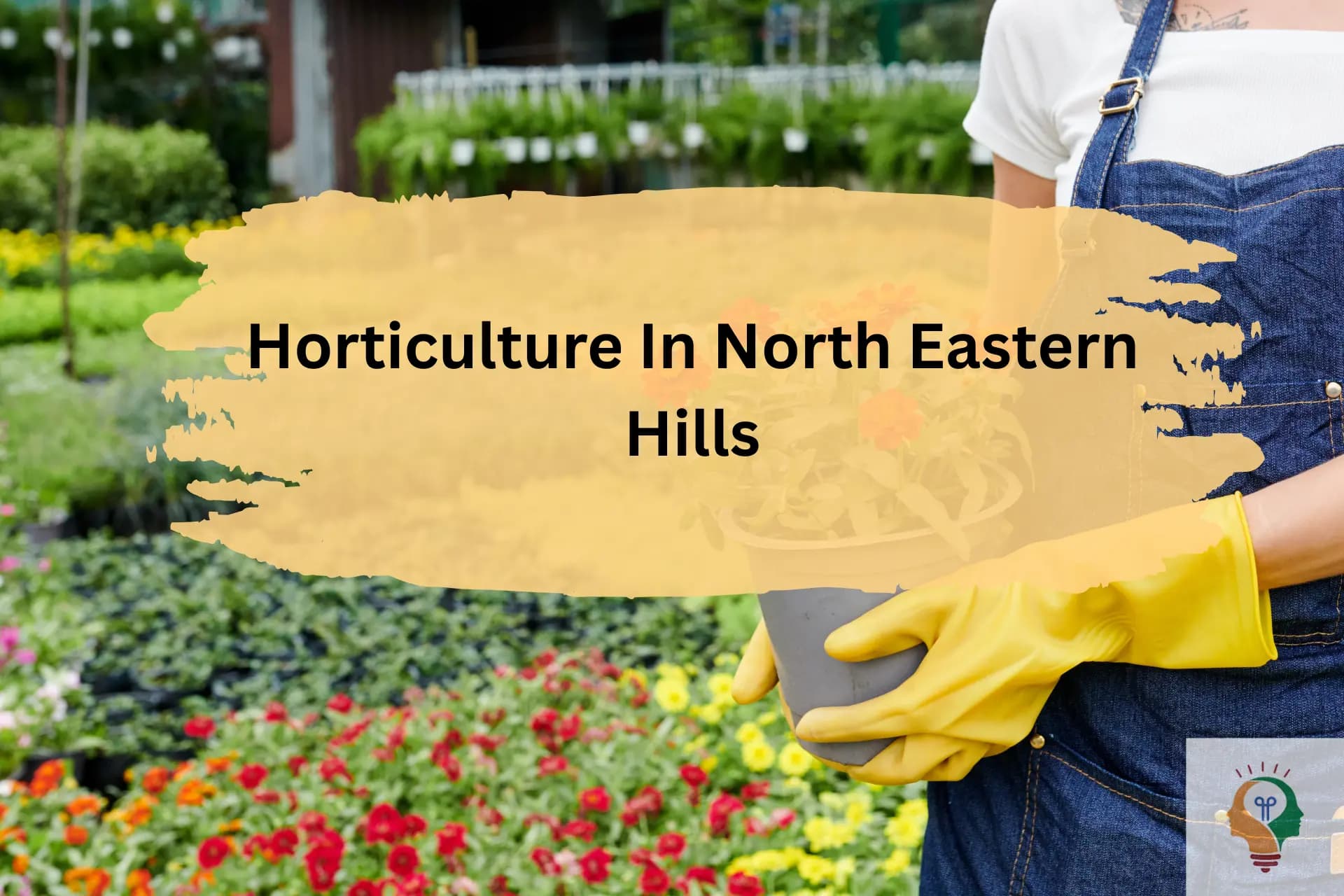Horticulture Mission