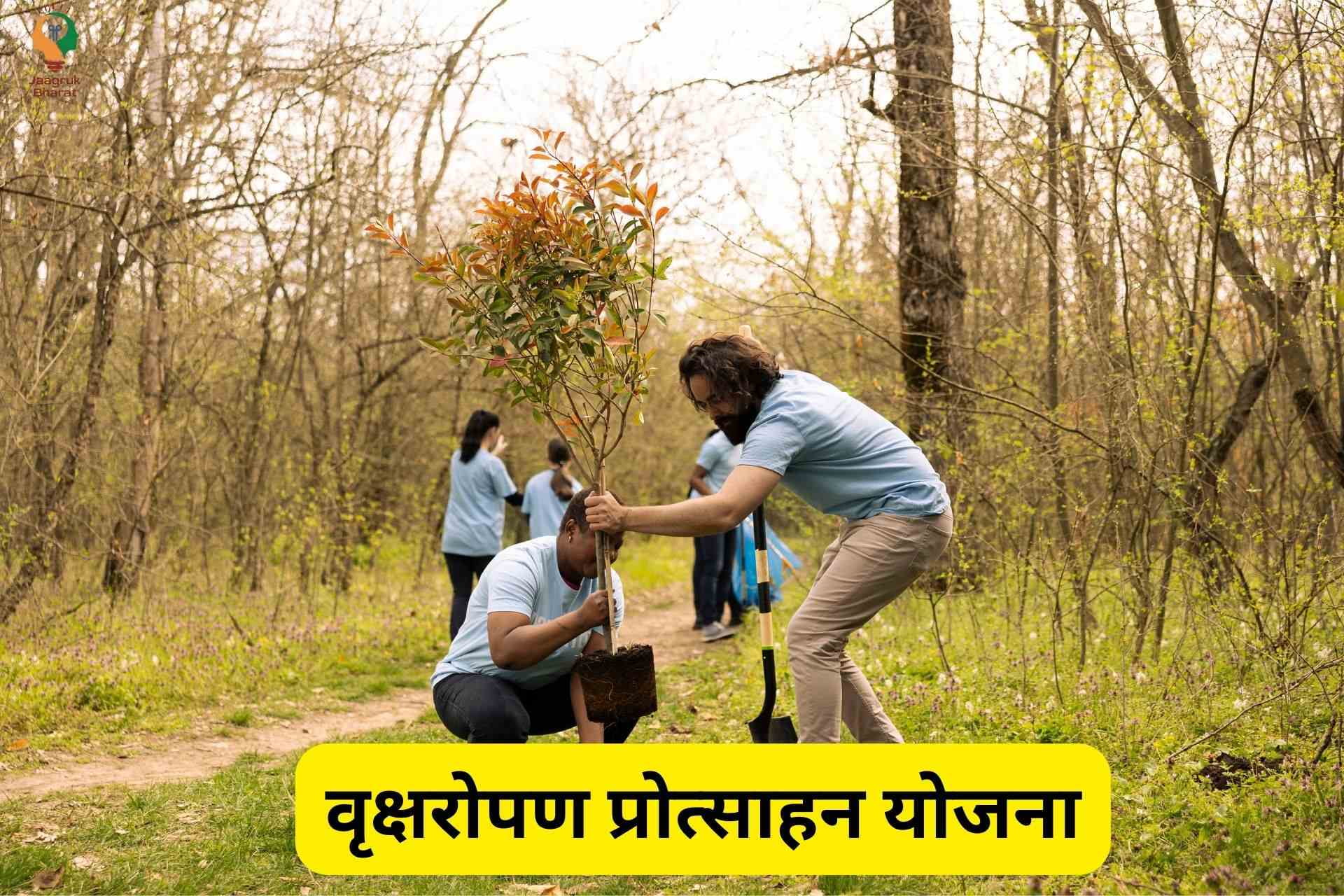 Mukhyamantri Vriksharopan Protsahan