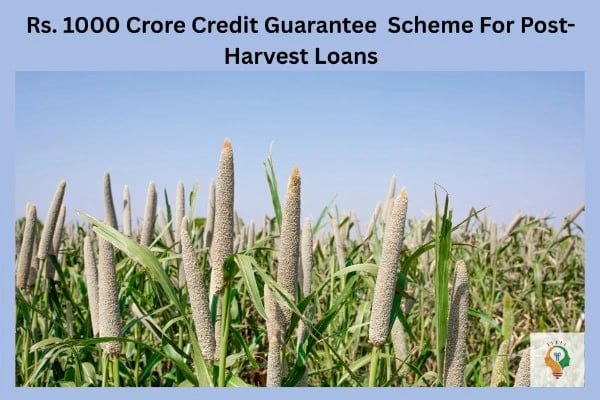 Rs 1000 Crore Guarantee Scheme