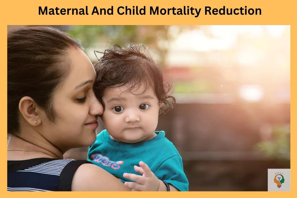 Maternal Mortality Rate