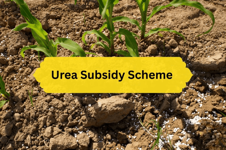 Urea Subsidy Scheme