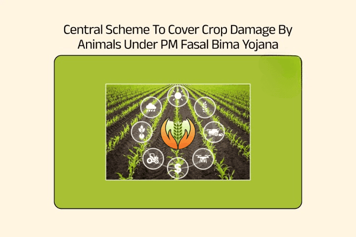 Crop Damage Under PM Fasal Bima Yojana